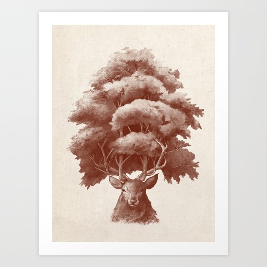 Old Growth Art Print