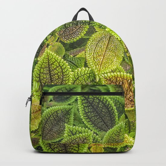 Friendship plant Backpack