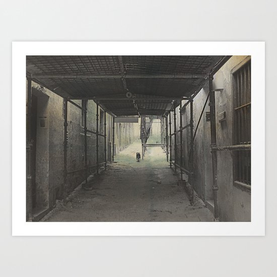 Solitude Art Print