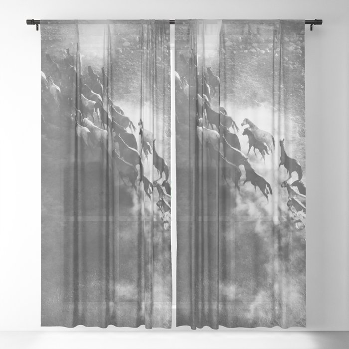 Sheer Curtain