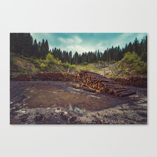 Logs Canvas Print