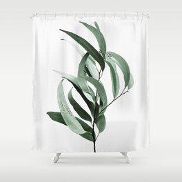 Eucalyptus - Australian gum tree Shower Curtain