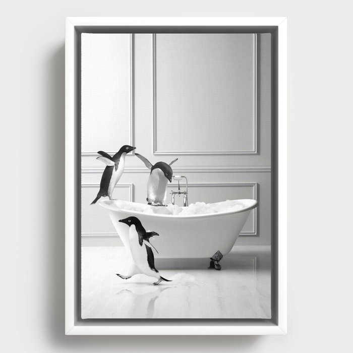 Framed Canvas