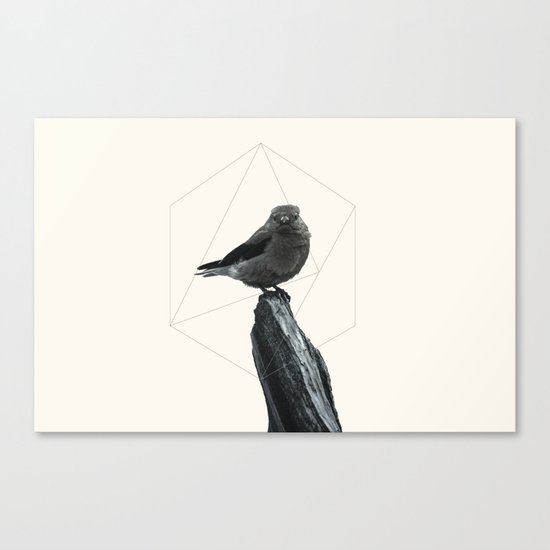 Geometrical Bird Canvas Print