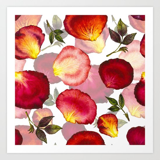 Rose Petal Pattern 02 Art Print