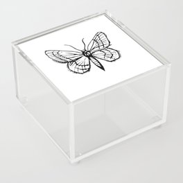 Moth illustration. Acrylic Box