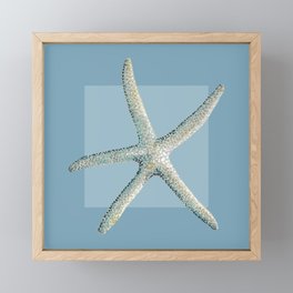 Starfish in mid blue Framed Mini Art Print
