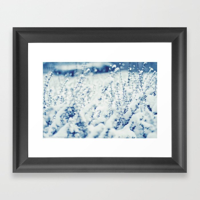 Blue Winter Framed Art Print