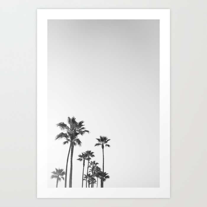 Black and White California Palms Art Print