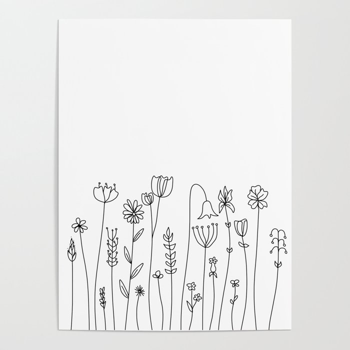 Line Art Drawing of Flowers - Cape Wildflowers Poster by Peach On A  Windowsill