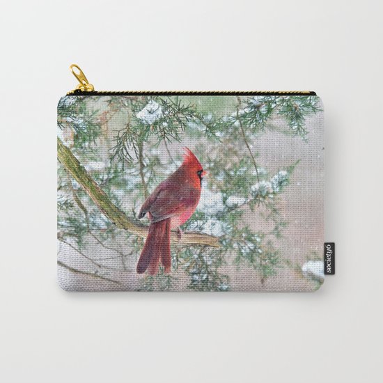 Look Beyond Carry-All Pouch