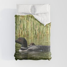 Mother and baby loon Comforter
