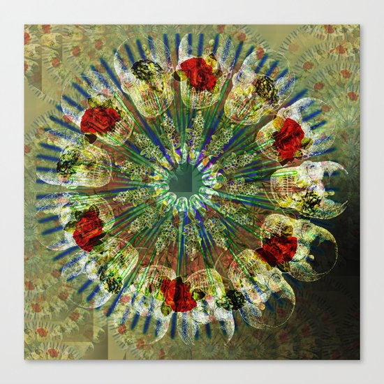 Skull Mandala Canvas Print