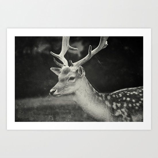 Still Art Print