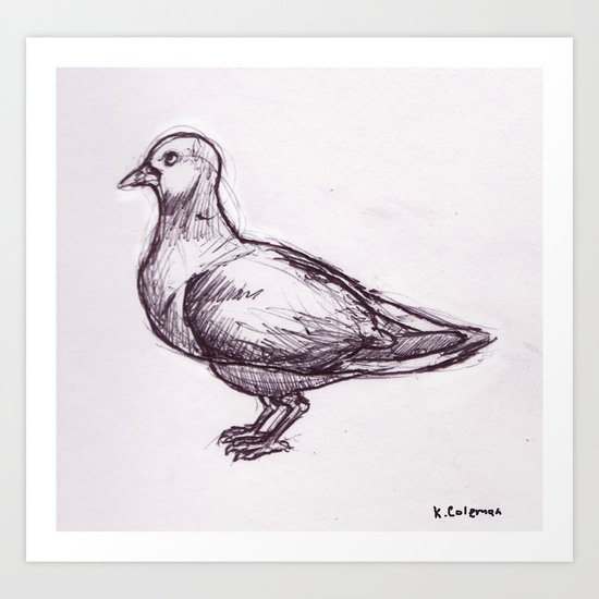 Pigeon Study Art Print