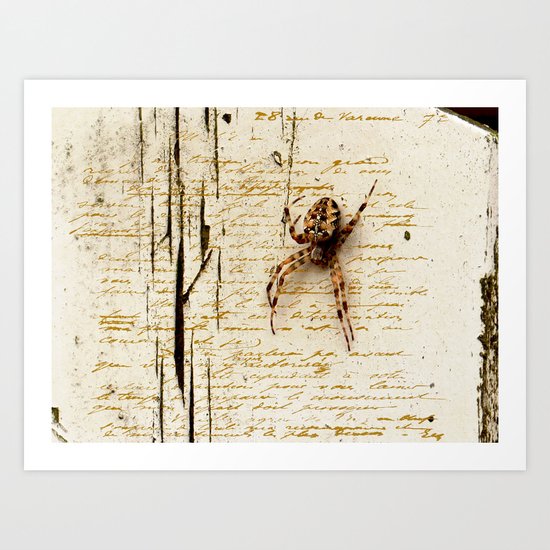 Spider Letter Art Print