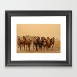 Wild Horses 6608 - Northwestern Nevada Framed Art Print