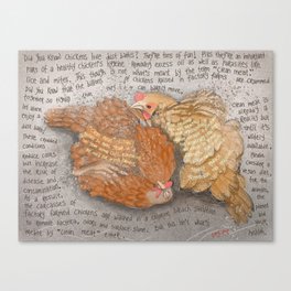 Chickens 2 Canvas Print