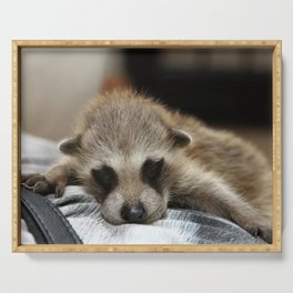 Baby Raccoon  Serving Tray