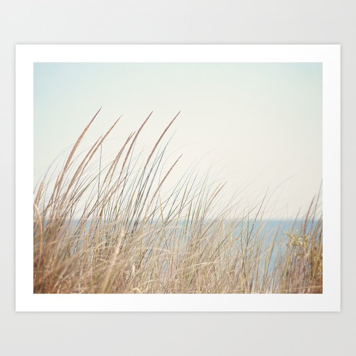 Beach Grass Photography, Calming Coastal Photo Print, Relaxing Beach House Photograph, Seaside Photo Art Print