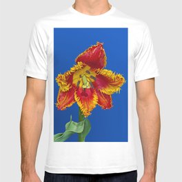 Flower tulip terry in spring T-shirt