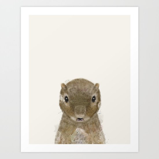 little squirrel Art Print