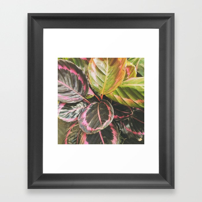 Leafy Framed Art Print