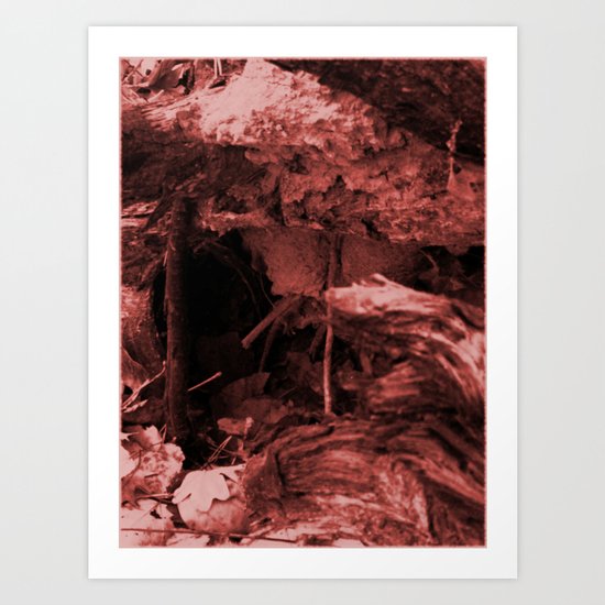 Down the Rabbit Hole, or The Roots of Yggdrassil Art Print