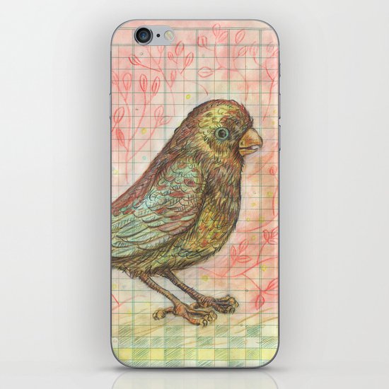 Bird on a Budget iPhone & iPod Skin