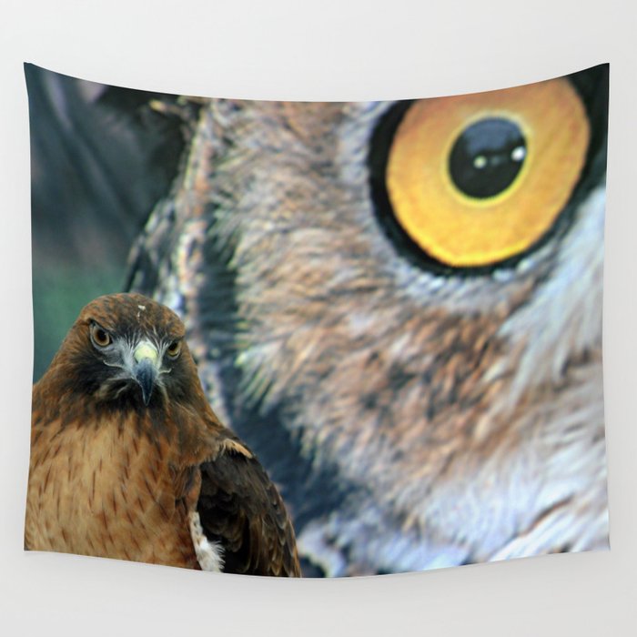 Hawk Eyes Wall Tapestry