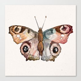 Colorful Butterfly Canvas Print