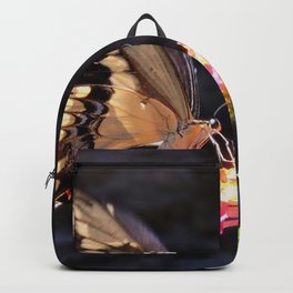 Swallowtail Overexposed Backpack