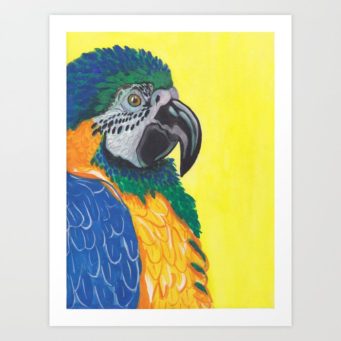 Blue-and-Yellow Macaw Art Print
