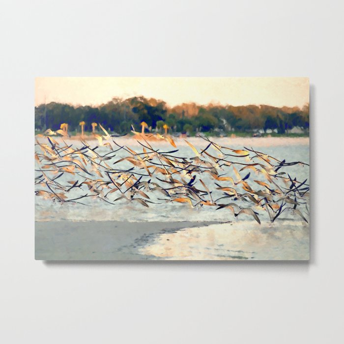 Beach Birds Flying Metal Print