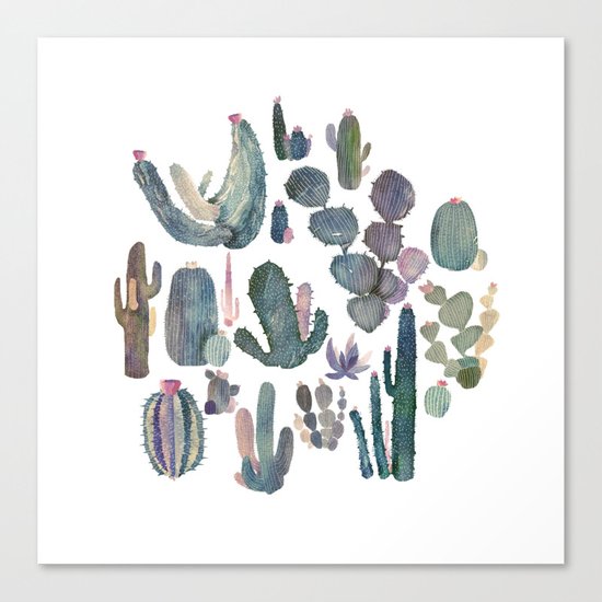 cactus fat Canvas Print