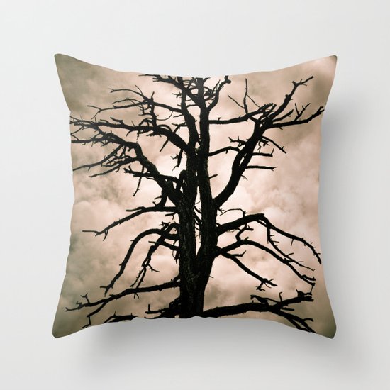 The Coming Storm Throw Pillow