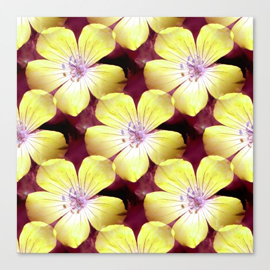 Summery Yellow.... Canvas Print