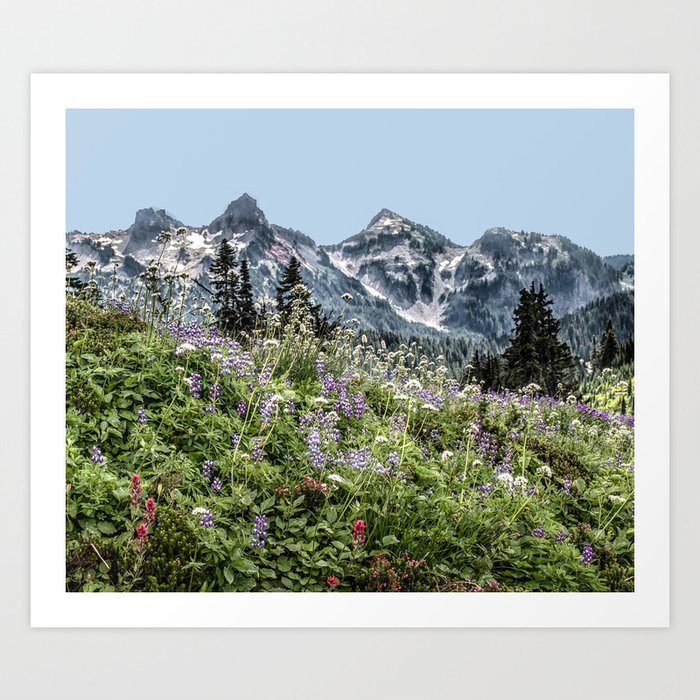 Mountains and Wildflowers Art Print