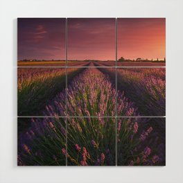 Lavender flowers fields and beautiful sunset. Tuscany Wood Wall Art