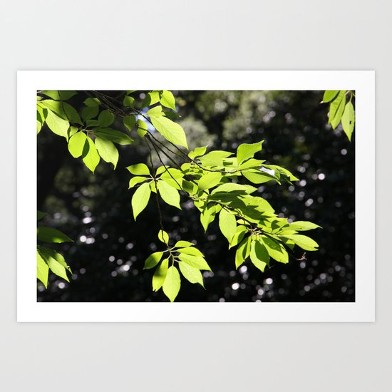 Magic leaves Art Print