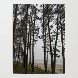 Latvia beach Poster