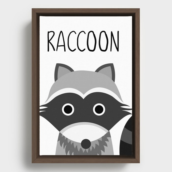 raccoon Framed Canvas
