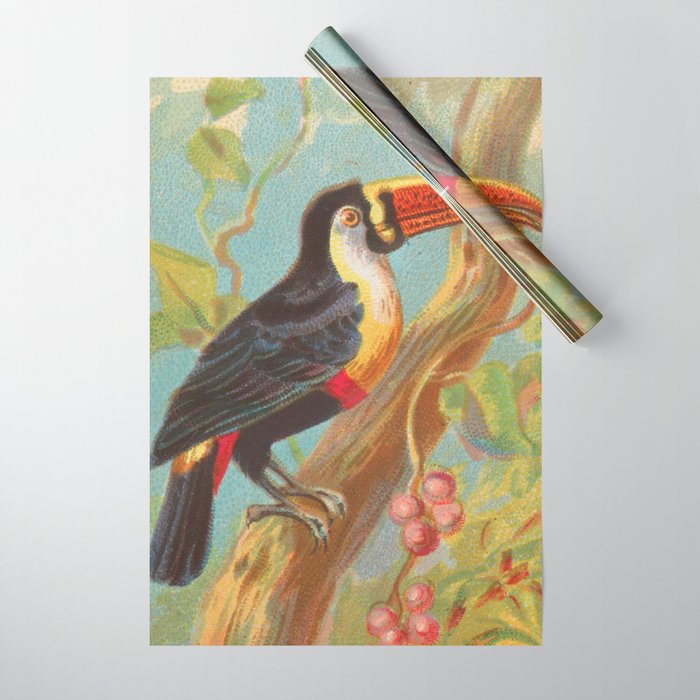 Toco Toucan Birds of the Tropics Series by A&G Wrapping Paper