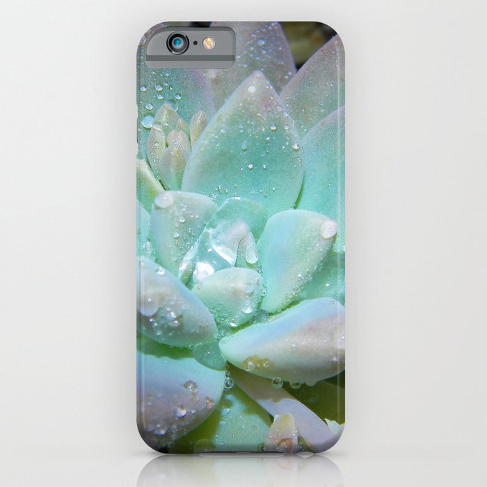 Pastel Succulent 2 iPhone Case