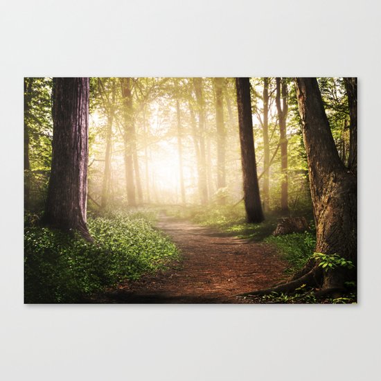 Forest Path Canvas Print