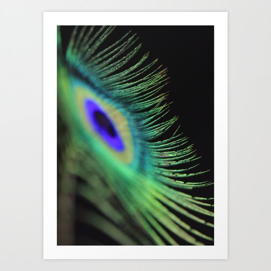 Peacock feather Art Print