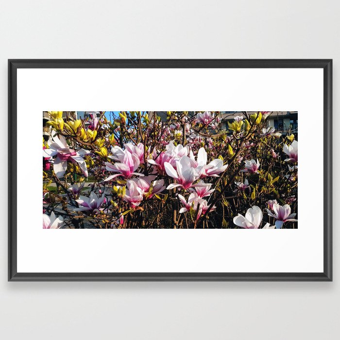 Flower blooming pink Framed Art Print