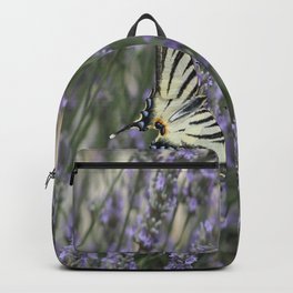 Papilio Machaon Backpack