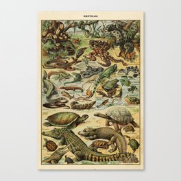Reptiles by Adolphe Millot Canvas Print