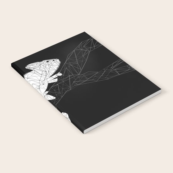 CHAMELEON Notebook